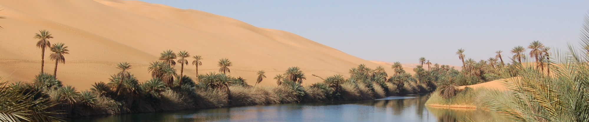 couverture site (79)